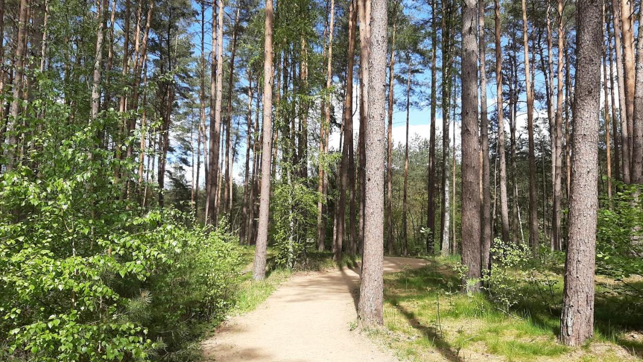 Forest Rooms Бад Бевензен Екстериор снимка